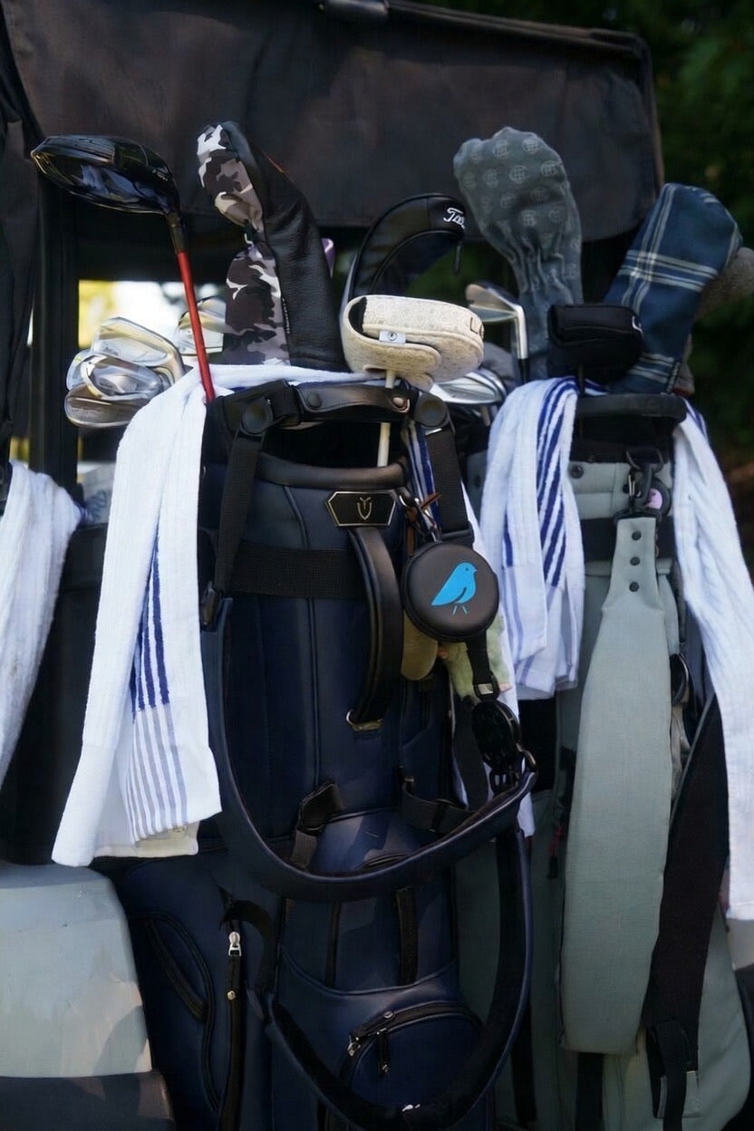 BirdieWrap Case